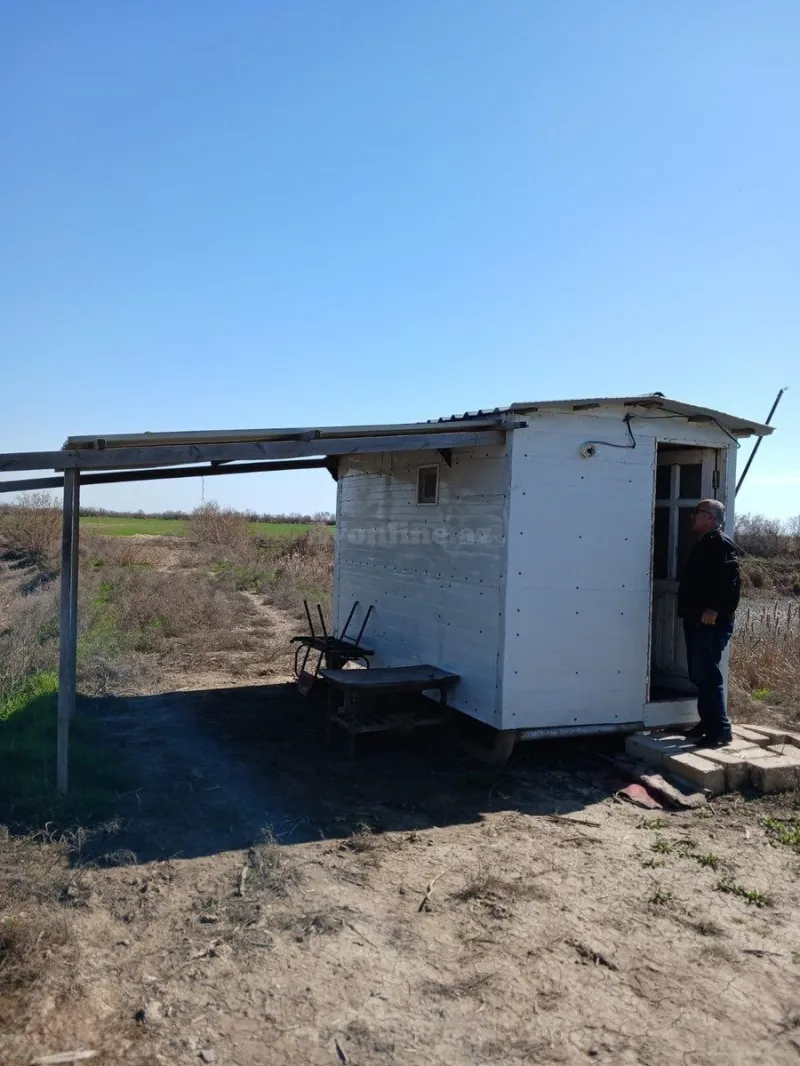 Satılır Torpaq 300 sot Neftçala - şəkil 2