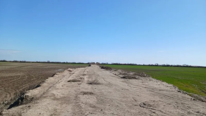 Satılır Torpaq 300 sot Neftçala - şəkil 3