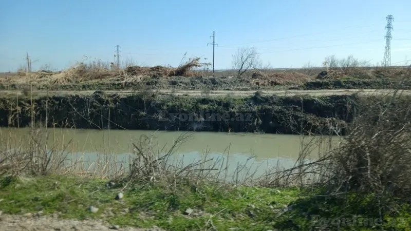 Satılır Torpaq 300 sot Neftçala - şəkil 5