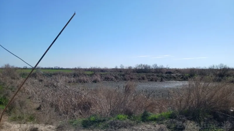 Satılır Torpaq 300 sot Neftçala - şəkil 6