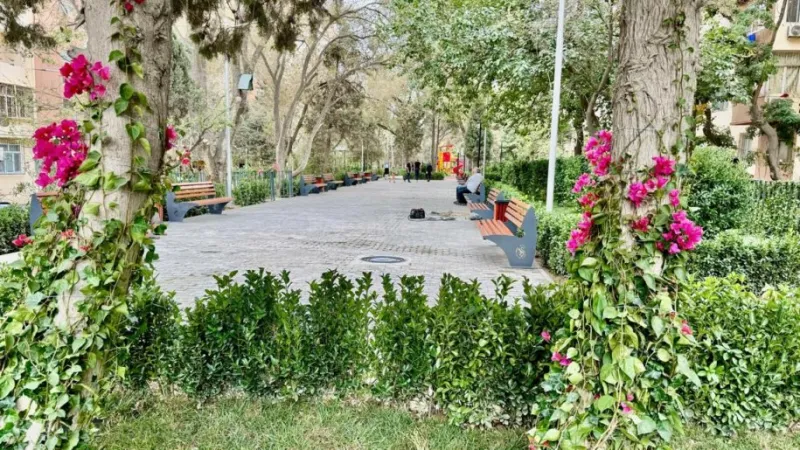 Satılır 3 otaqlı Mənzil Köhnə tikili 75 m² 7-ci mikrorayon - şəkil 19