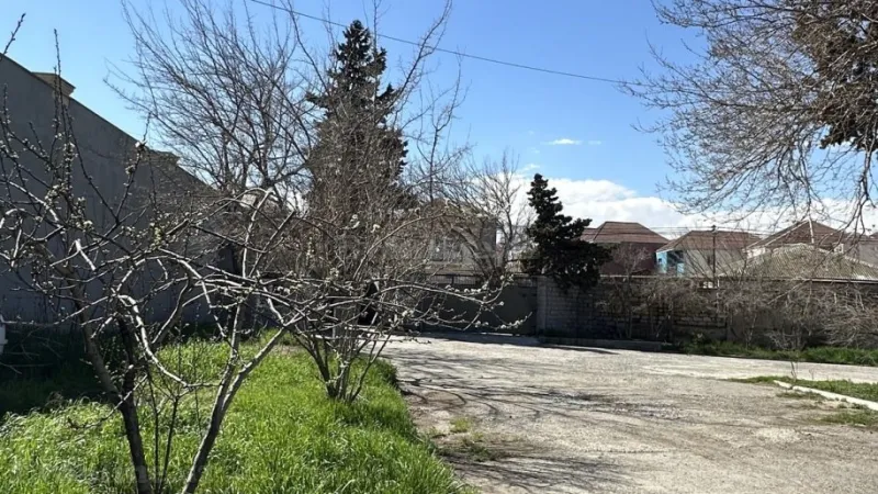 Bakı, Binəqədi r., Biləcərida obyekt kirayə verilir