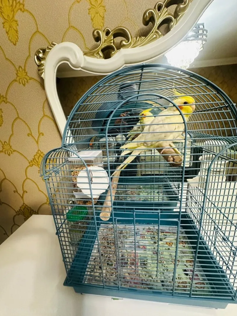 Satılır 3 otaqlı Mənzil Köhnə tikili 70 m² Neftçilər m. - şəkil 4