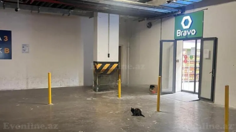 Satılır 2 otaqlı Mənzil Yeni tikili 68 m² Elmlər Akademiyası m. - şəkil 7