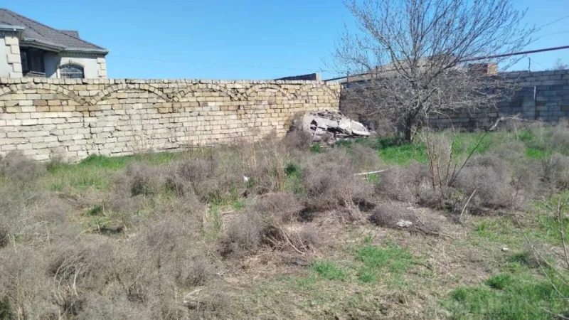 Satılır Torpaq 7 sot Zabrat - şəkil 2