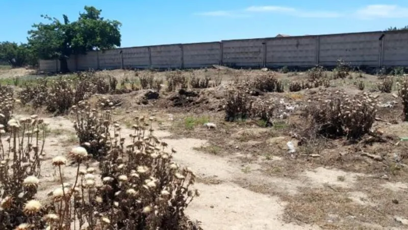 Satılır Torpaq 12 sot Xəzər r. - şəkil 3