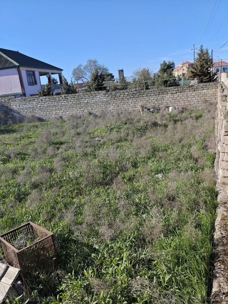 Satılır Torpaq 4 sot Şüvəlan - şəkil 3