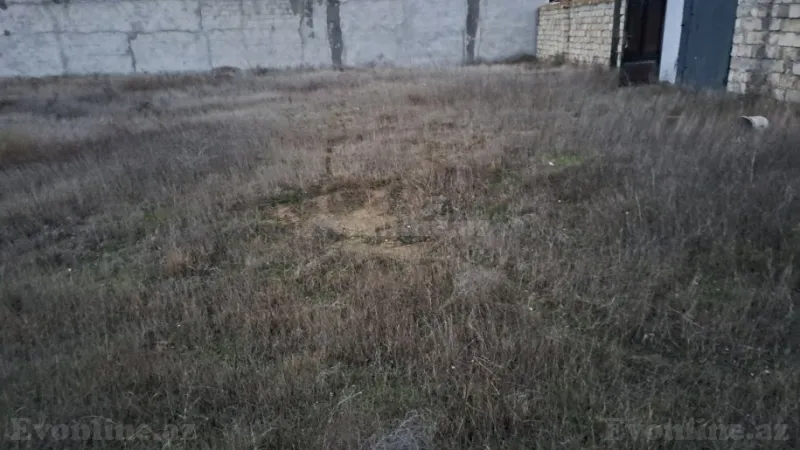 Satılır Torpaq 10 sot Nardaran - şəkil 2