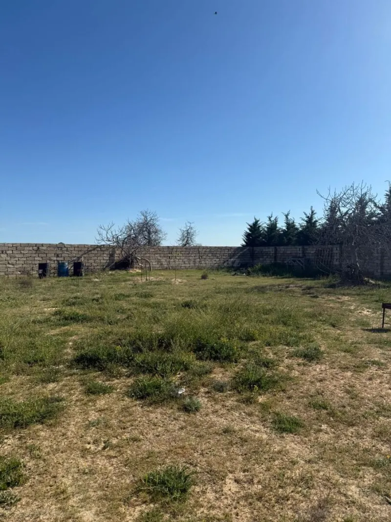 Satılır Torpaq 6 sot Nardaran - şəkil 9