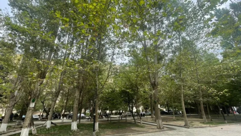 Satılır 3 otaqlı Mənzil Köhnə tikili 72 m² 6-cı mikrorayon - şəkil 18