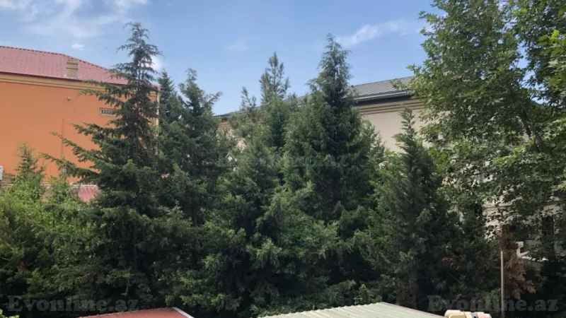 Satılır 3 otaqlı Mənzil Köhnə tikili 72 m² 6-cı mikrorayon - şəkil 20