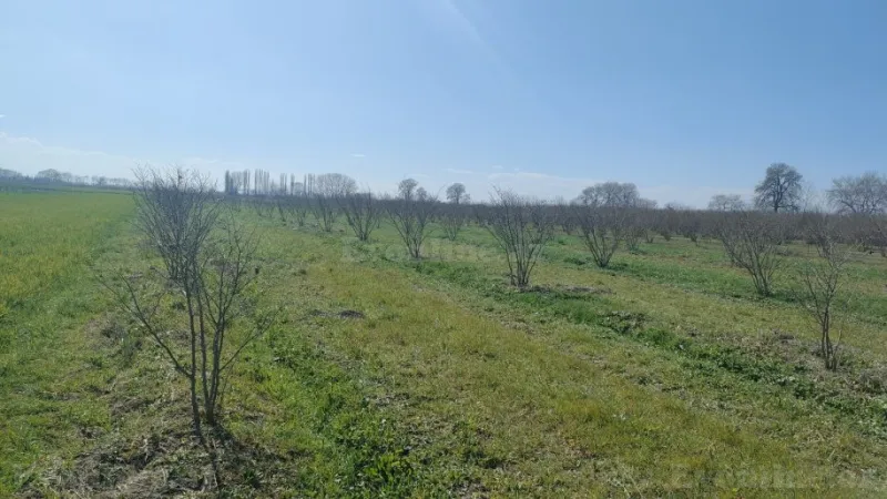 Torpaq Xudat Satılır