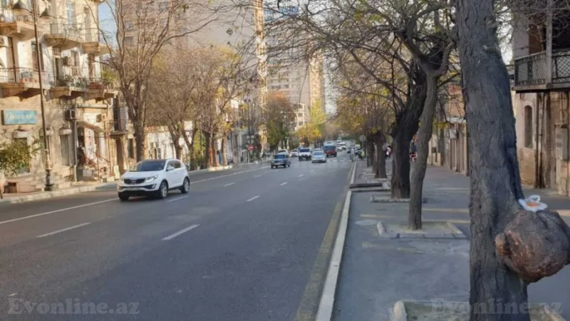 Kirayə verilir Obyekt 50 m² Nizami m. - şəkil 2