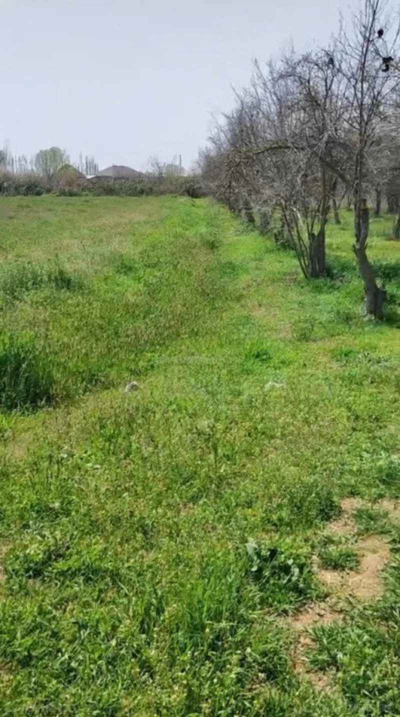 Satılır Torpaq 300 sot Sabirabad