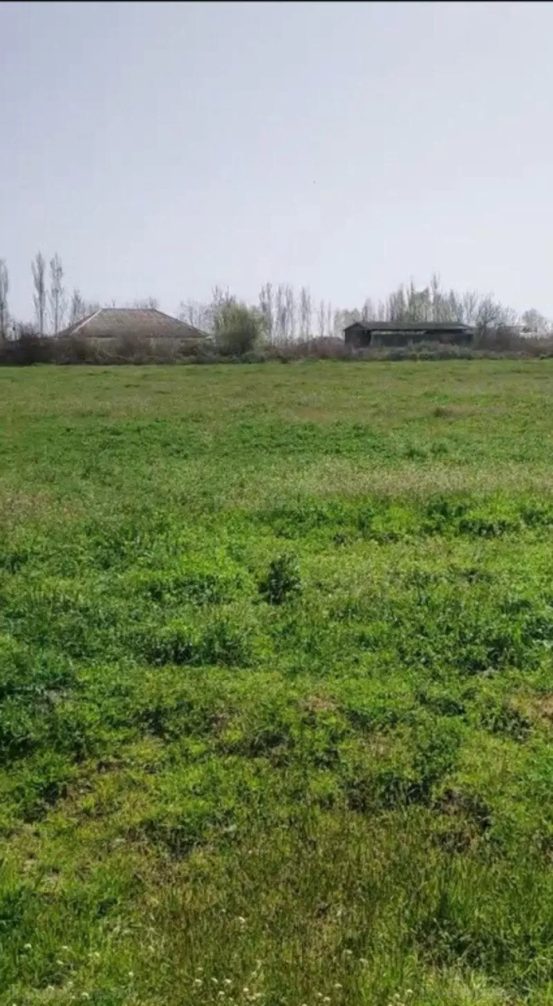 Satılır Torpaq 300 sot Sabirabad - şəkil 2