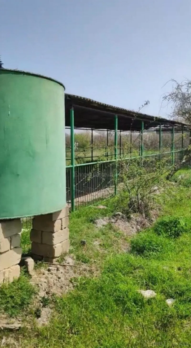 Satılır Torpaq 300 sot Sabirabad - şəkil 3