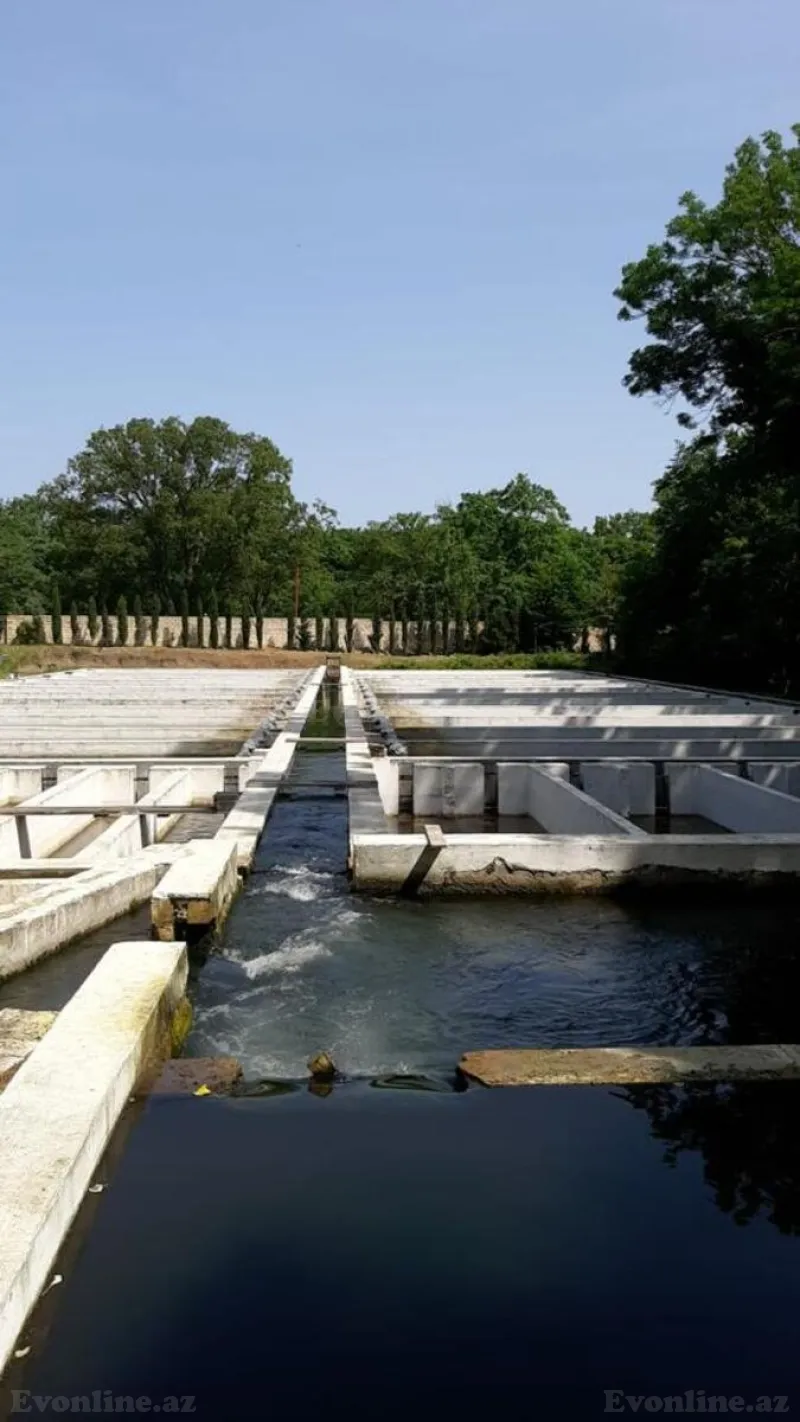 Satılır Obyekt 5000 m² Binəqədi r.