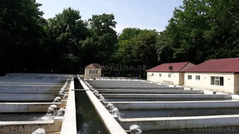 Satılır Obyekt 5000 m² Binəqədi r. - şəkil 2