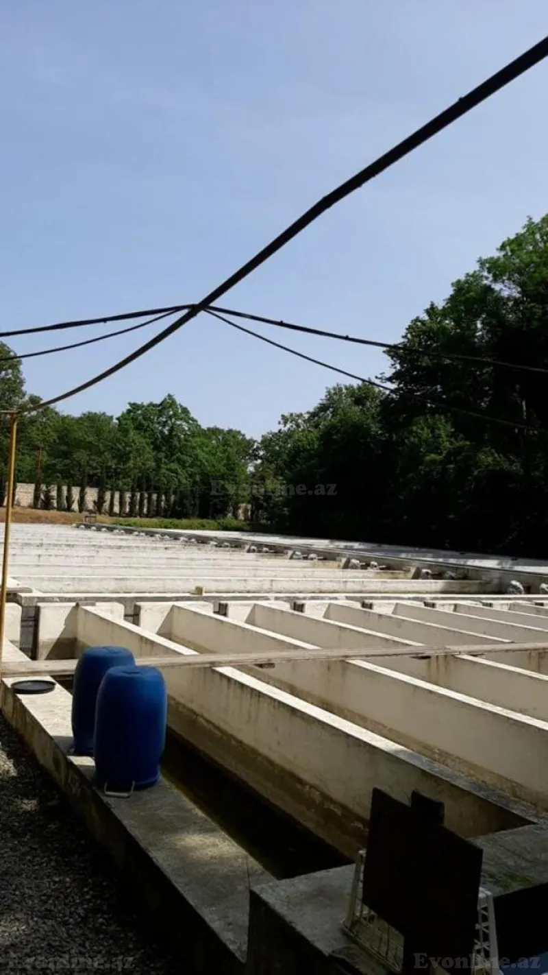 Satılır Obyekt 5000 m² Binəqədi r. - şəkil 3