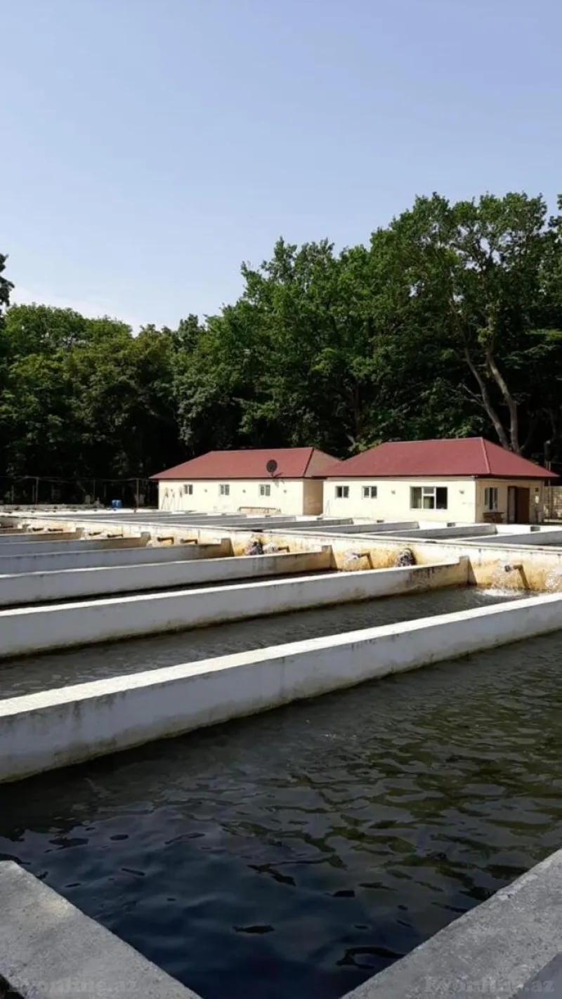 Satılır Obyekt 5000 m² Binəqədi r. - şəkil 5