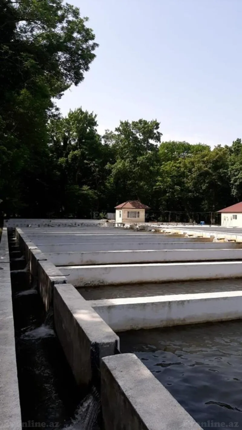 Satılır Obyekt 5000 m² Binəqədi r. - şəkil 6