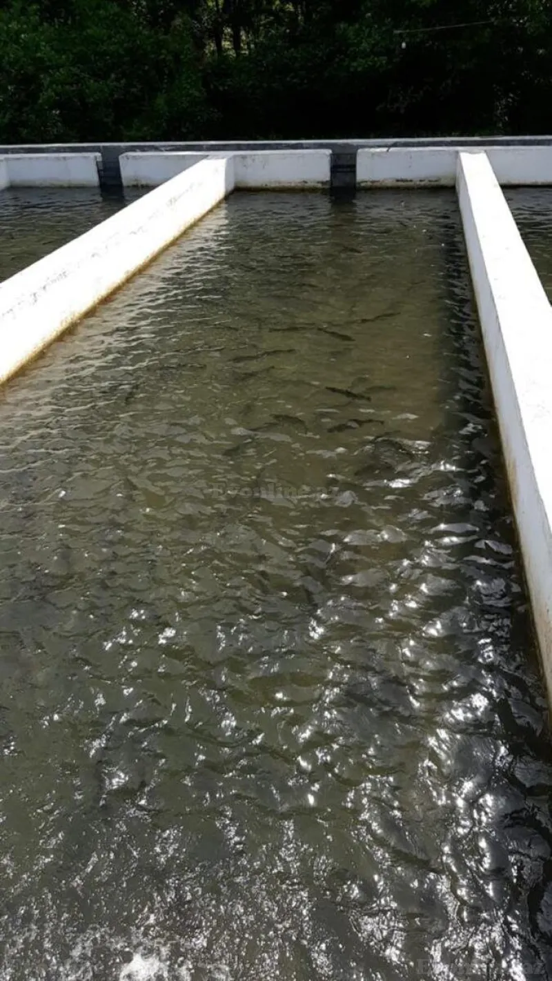 Satılır Obyekt 5000 m² Binəqədi r. - şəkil 8