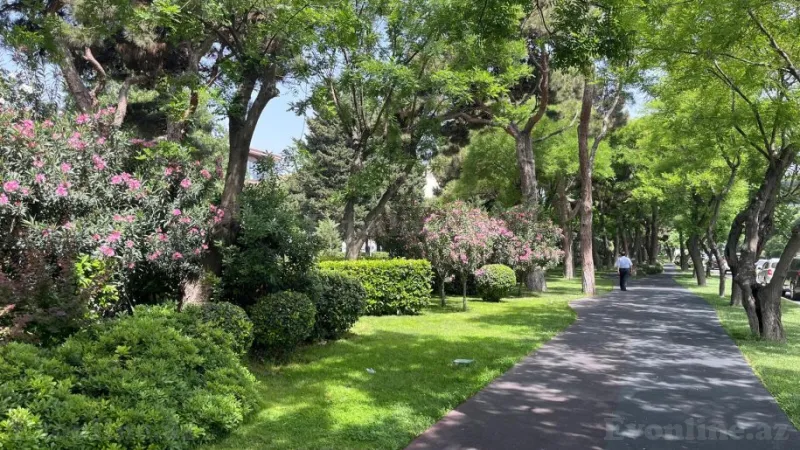 Satılır 3 otaqlı Mənzil Köhnə tikili 80 m² Gənclik m. - şəkil 22