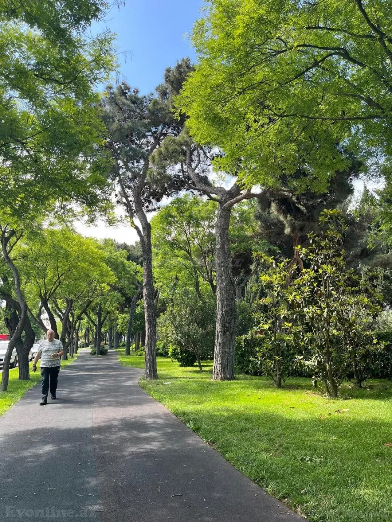 Satılır 3 otaqlı Mənzil Köhnə tikili 80 m² Gənclik m. - şəkil 23