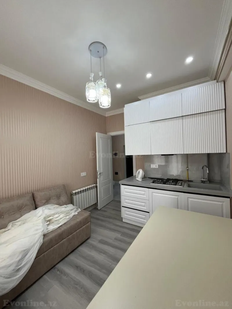 Satılır 1 otaqlı Mənzil Yeni tikili 42 m² Nərimanov r. - şəkil 5