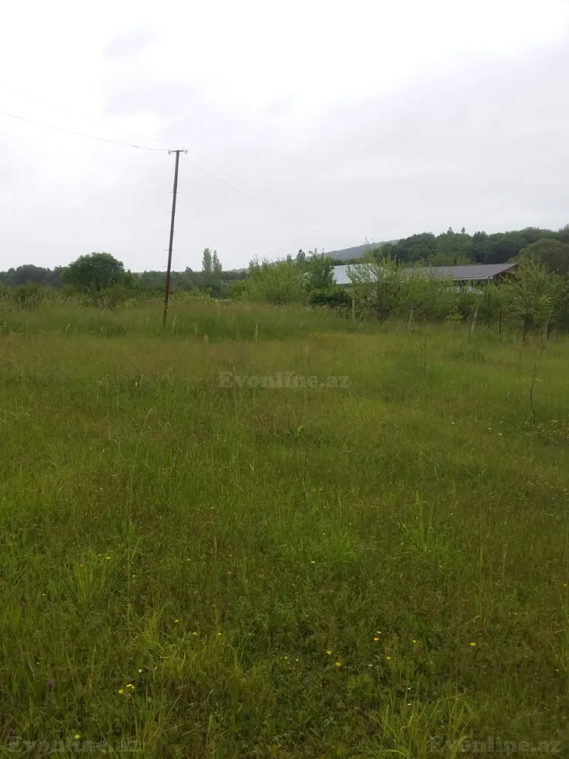 Satılır Torpaq 50 sot İsmayıllı