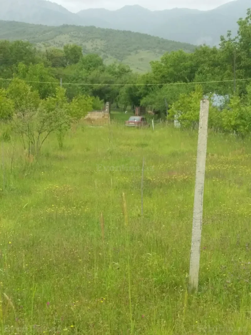 Satılır Torpaq 50 sot İsmayıllı - şəkil 2