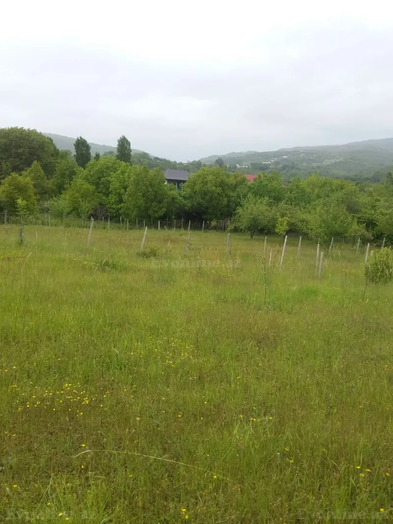 Satılır Torpaq 50 sot İsmayıllı - şəkil 3