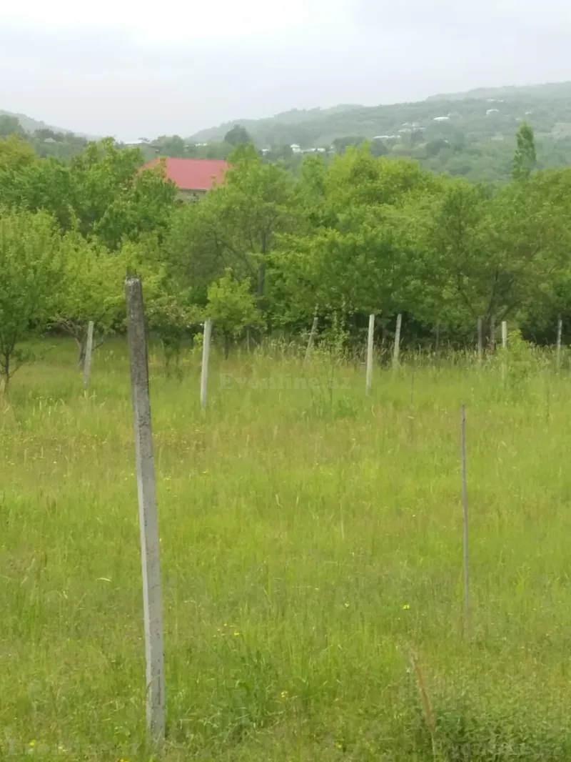 Satılır Torpaq 50 sot İsmayıllı - şəkil 4