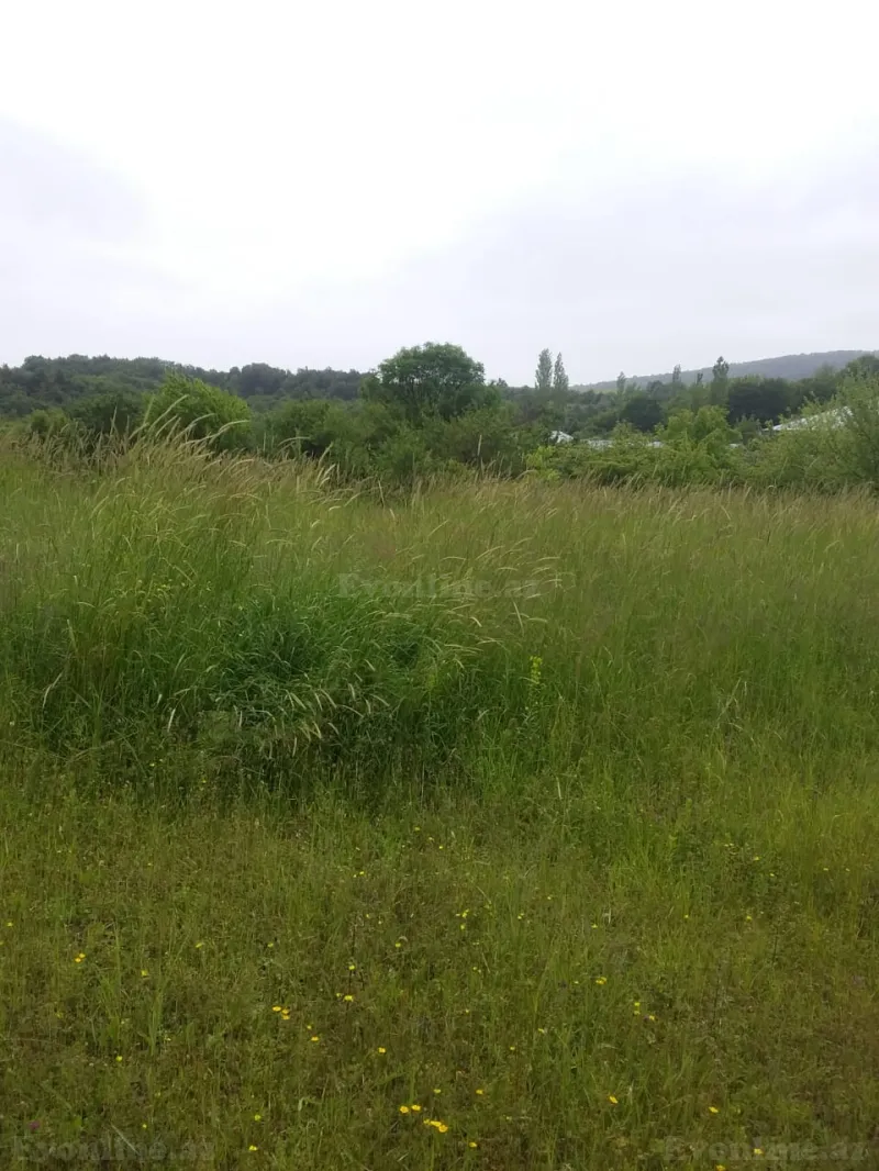 Satılır Torpaq 50 sot İsmayıllı - şəkil 5