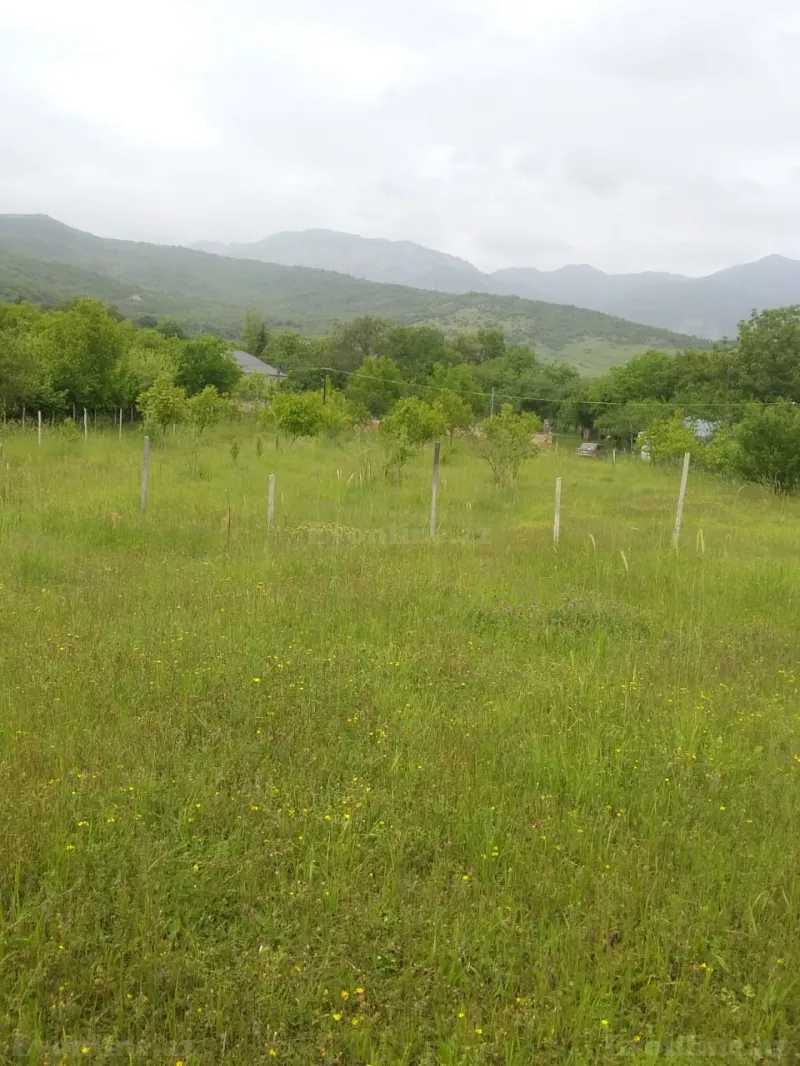 Satılır Torpaq 50 sot İsmayıllı - şəkil 6