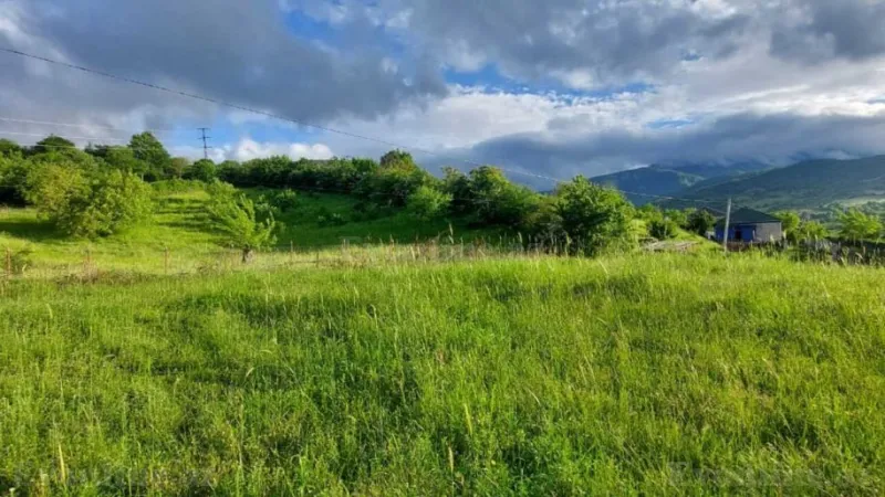 Satılır Torpaq 8 sot Şabran - şəkil 2