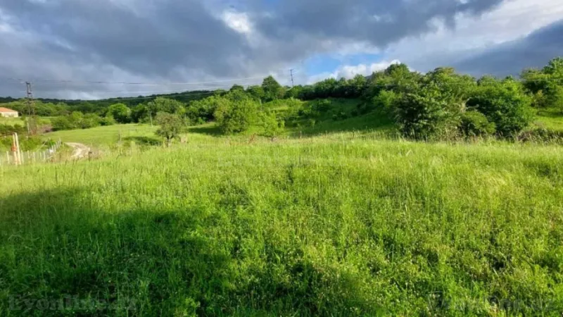 Satılır Torpaq 8 sot Şabran - şəkil 3