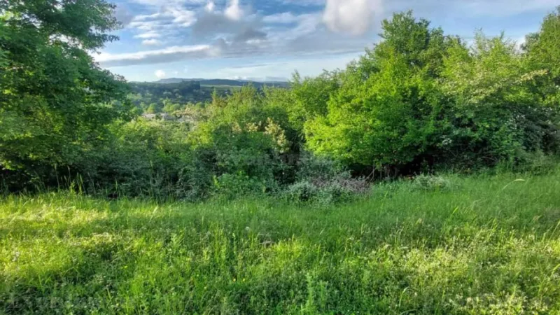 Satılır Torpaq 8 sot Şabran - şəkil 5