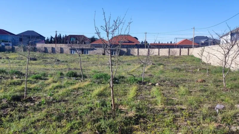 Satılır Torpaq 45 sot Qala - şəkil 2