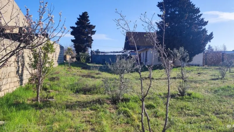 Satılır Torpaq 45 sot Qala - şəkil 3