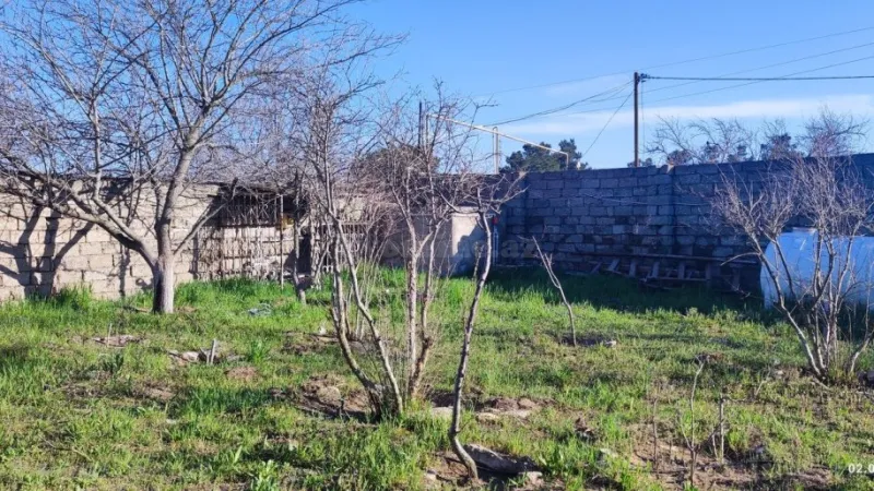 Satılır Torpaq 45 sot Qala - şəkil 4