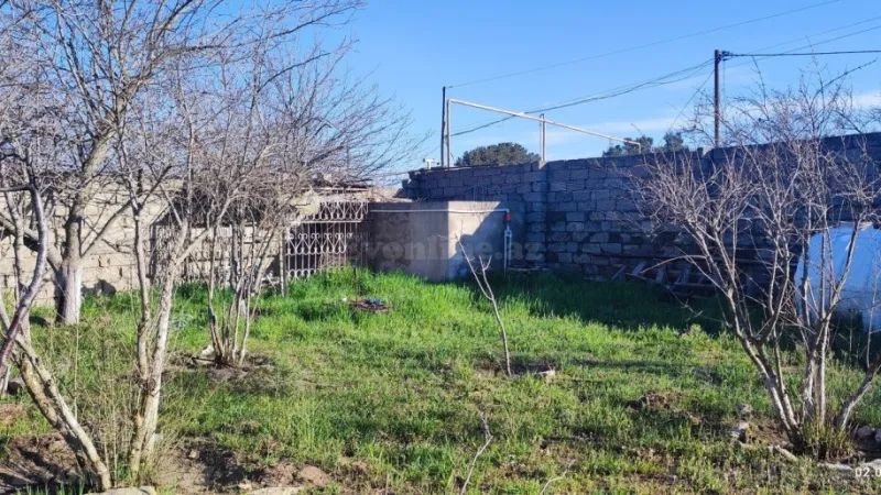 Satılır Torpaq 45 sot Qala - şəkil 5