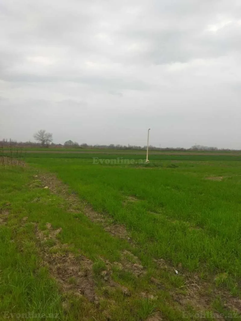 Satılır Torpaq 400 sot Şabran - şəkil 3