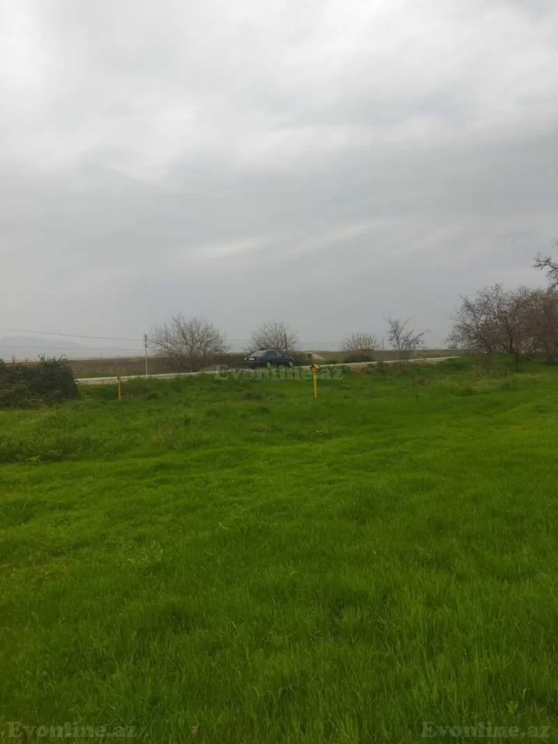 Satılır Torpaq 400 sot Şabran - şəkil 4