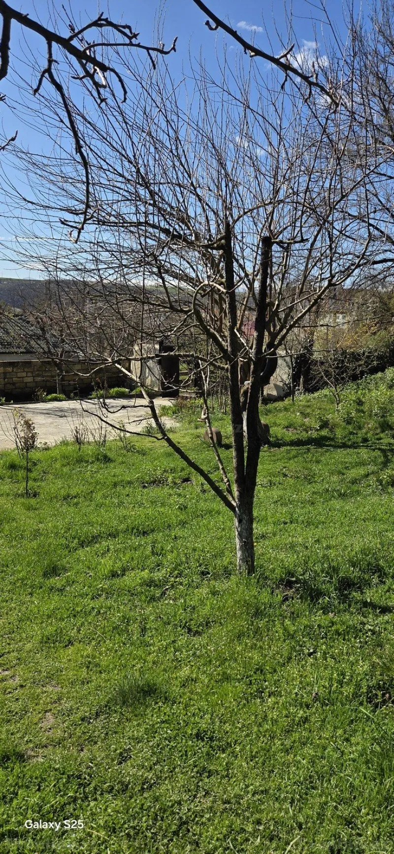 Torpaq Qusar Satılır