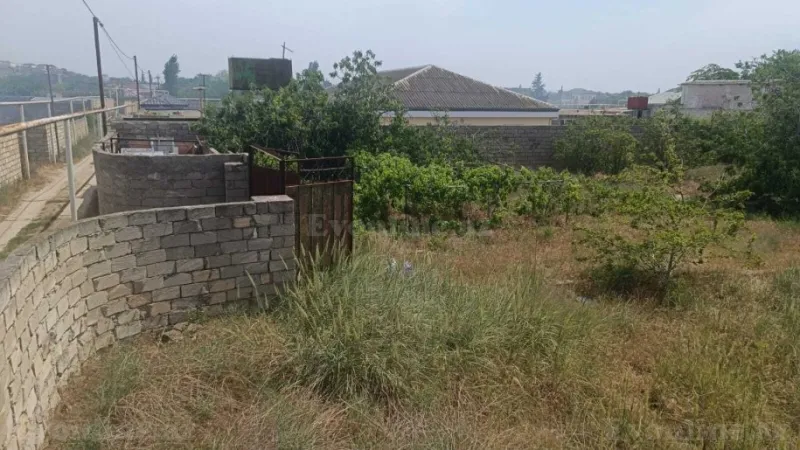 Satılır Torpaq 12 sot Nardaran - şəkil 2