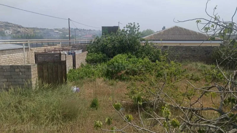 Satılır Torpaq 12 sot Nardaran - şəkil 4