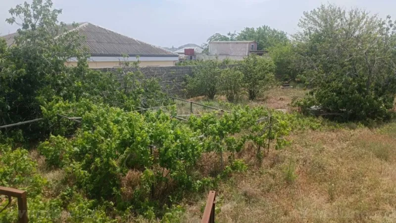 Satılır Torpaq 12 sot Nardaran - şəkil 6