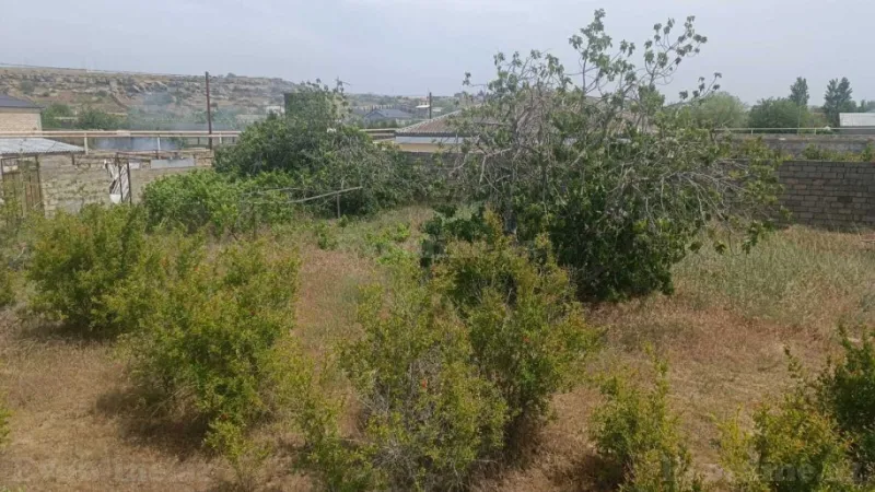Satılır Torpaq 12 sot Nardaran - şəkil 8