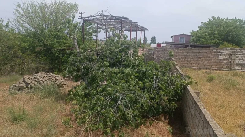 Satılır Torpaq 12 sot Nardaran - şəkil 12